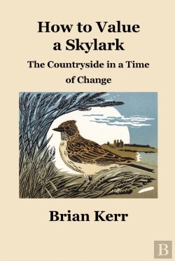 Bertrand.pt - How To Value A Skylark