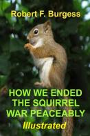 How We Ended The Squirrel War Peaceably