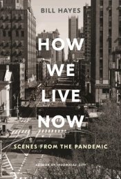 How We Live Now