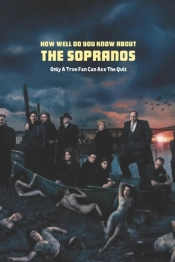 How Well Do You Know About The Sopranos