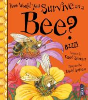 How Would You Survive As A Bee?