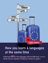 How You Learn 4 Languages At The Same Time