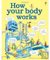 How Your Body Works