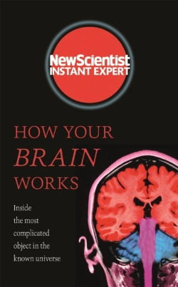 Bertrand.pt - How Your Brain Works