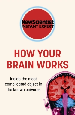 Bertrand.pt - How Your Brain Works