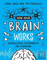 How Your Brain Works
