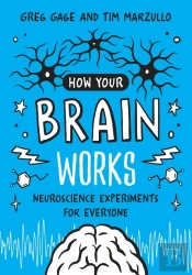 How Your Brain Works
