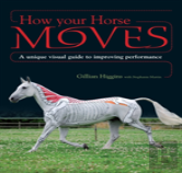 How Your Horse Moves