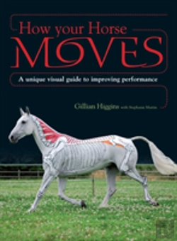 Bertrand.pt - How Your Horse Moves