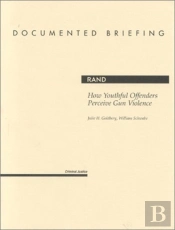 How Youthful Offenders Perceiv