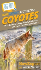 Howexpert Guide To Coyotes