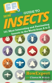 Howexpert Guide To Insects