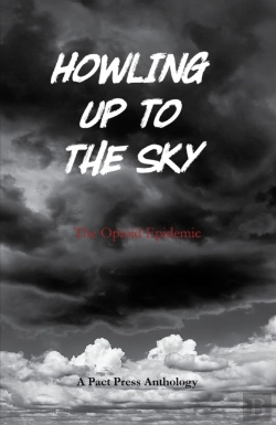 Bertrand.pt - Howling Up To The Sky