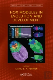 Hox Modules In Evolution And Development