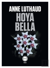 Hoya Bella
