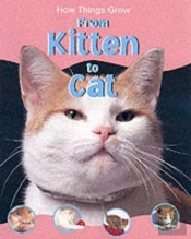 Htg Kitten To Cat