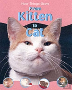 Bertrand.pt - Htg Kitten To Cat