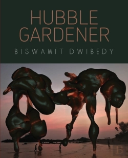 Bertrand.pt - Hubble Gardener