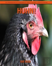 Huhn! Ein Padagogisches Kinderbuch Uber Huhn Mit Lustigen Fakten