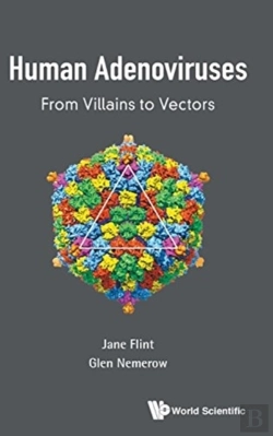 Bertrand.pt - Human Adenoviruses: From Villains To Vectors