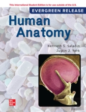 Human Anatomy: 2024 Release Ise