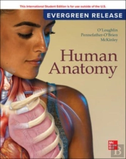 Bertrand.pt - Human Anatomy: 2024 Release Ise