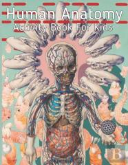 Human Anatomy Activity Book For Kids