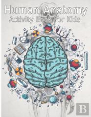 Human Anatomy Activity Book For Kids