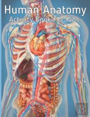Human Anatomy Activity Book For Kids