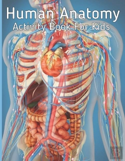 Bertrand.pt - Human Anatomy Activity Book For Kids