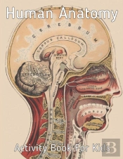 Human Anatomy Activity Book For Kids