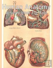 Human Anatomy Activity Book For Kids