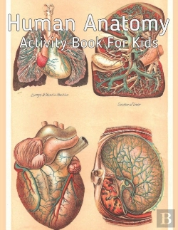 Bertrand.pt - Human Anatomy Activity Book For Kids