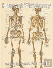 Human Anatomy Activity Book For Kids