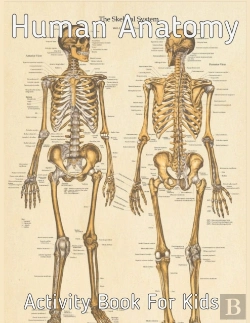 Bertrand.pt - Human Anatomy Activity Book For Kids