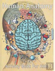 Human Anatomy Activity Book For Kids