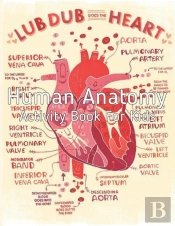 Human Anatomy Activity Book For Kids