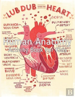 Bertrand.pt - Human Anatomy Activity Book For Kids