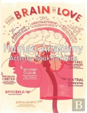 Human Anatomy Activity Book For Kids