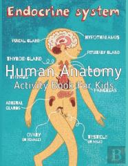 Human Anatomy Activity Book For Kids