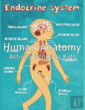 Human Anatomy Activity Book For Kids