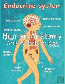 Bertrand.pt - Human Anatomy Activity Book For Kids