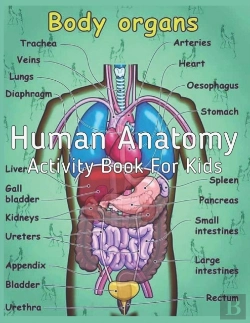 Bertrand.pt - Human Anatomy Activity Book For Kids