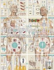 Human Anatomy Activity Book For Kids
