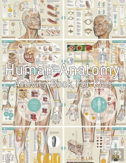 Bertrand.pt - Human Anatomy Activity Book For Kids