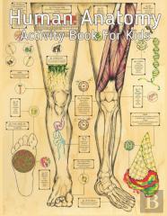 Human Anatomy Activity Book For Kids