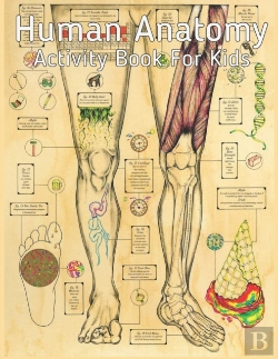 Bertrand.pt - Human Anatomy Activity Book For Kids