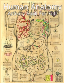 Bertrand.pt - Human Anatomy Activity Book For Kids