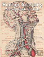 Human Anatomy Activity Book For Kids