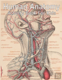 Bertrand.pt - Human Anatomy Activity Book For Kids